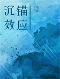 沉锚效应简介
