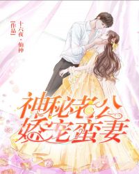 神秘老公狂宠妻全文